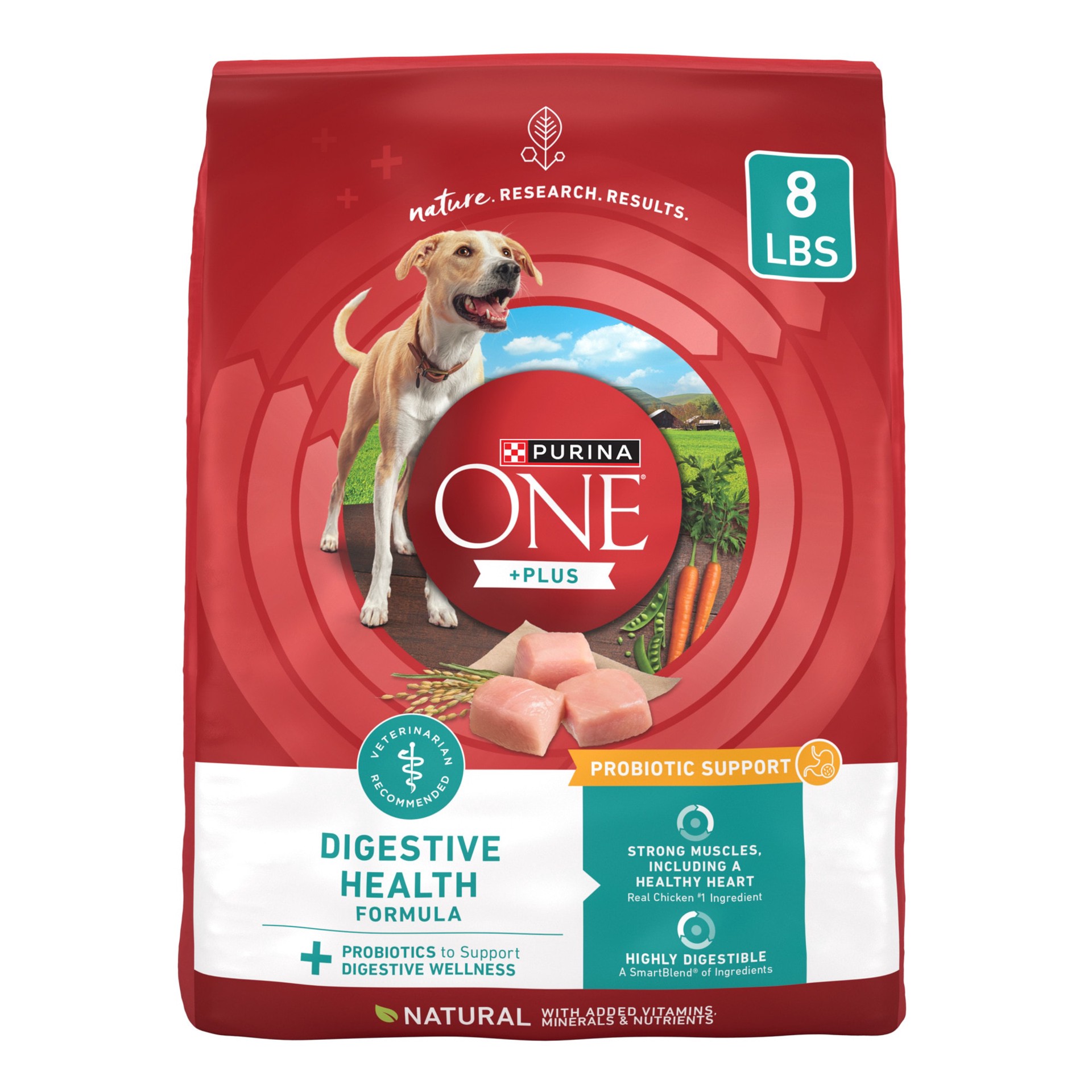 slide 1 of 8, ONE Purina One Plus Digestive Health Formula Dry Dog Food Natural with Added Vitamins, Minerals and Nutrients, 8 lb