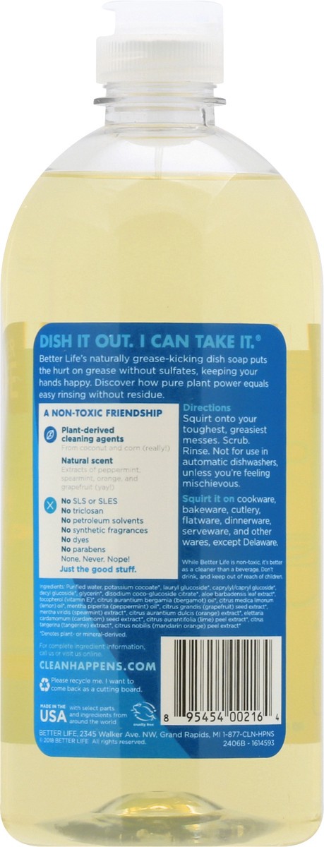 slide 6 of 9, Better Life Lemon Mint Dish Soap 22 oz, 22 oz