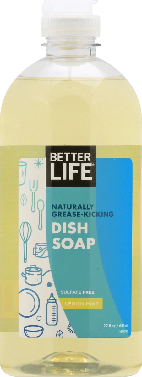 slide 1 of 9, Better Life Lemon Mint Dish Soap 22 oz, 22 oz