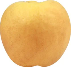 Produce Apricots - 1 ea