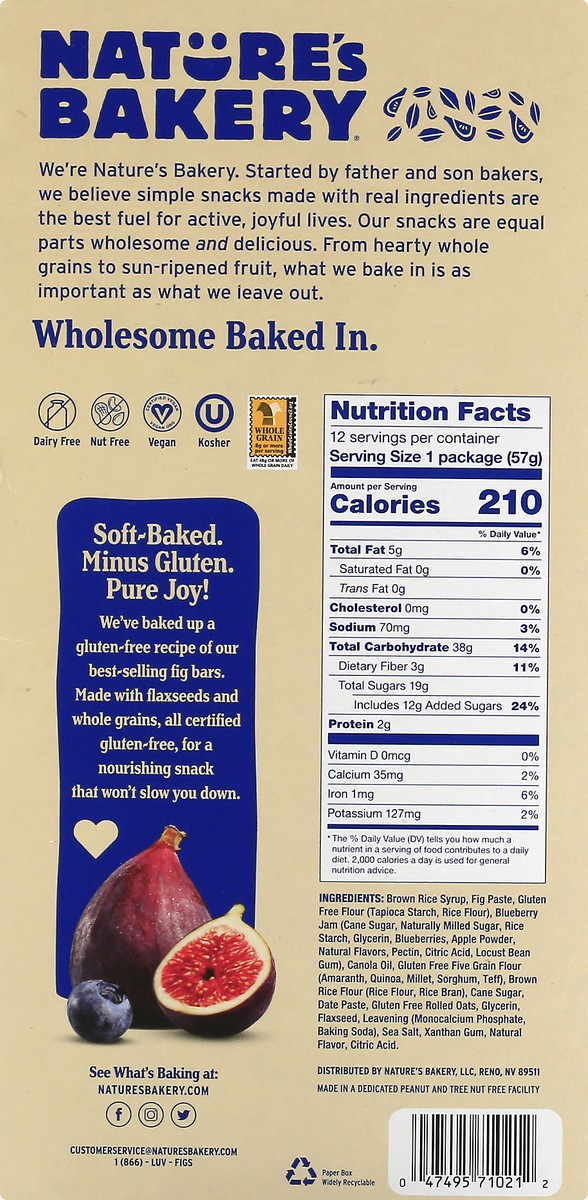 slide 2 of 13, Nature's Bakery Gluten Free Twin Packs Blueberry Fig Bar 12 ea, 12 ct