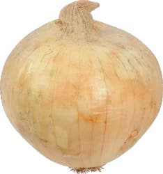 Onion Vidallia