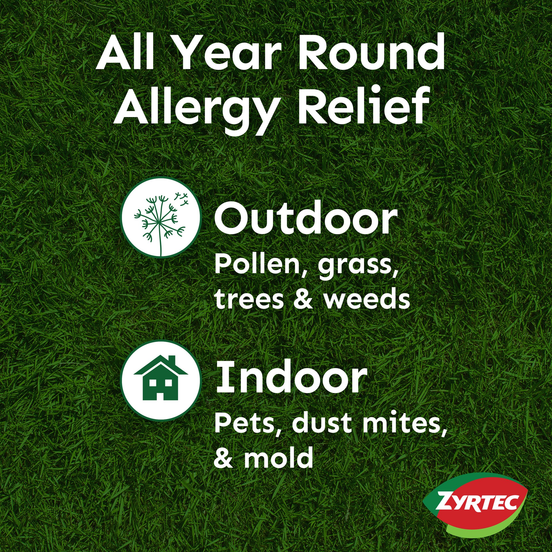 slide 7 of 10, Zyrtec 24 Hour Allergy Relief Tablets, Indoor & Outdoor Allergy Medicine with 10 mg Cetirizine HCl per Antihistamine Tablet, Relief of Allergies Caused by Ragweed & Tree Pollen, 90 ct, 90 ct