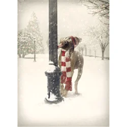 Boxed Christmas Cards - Dog Tongue Stuck on Pole