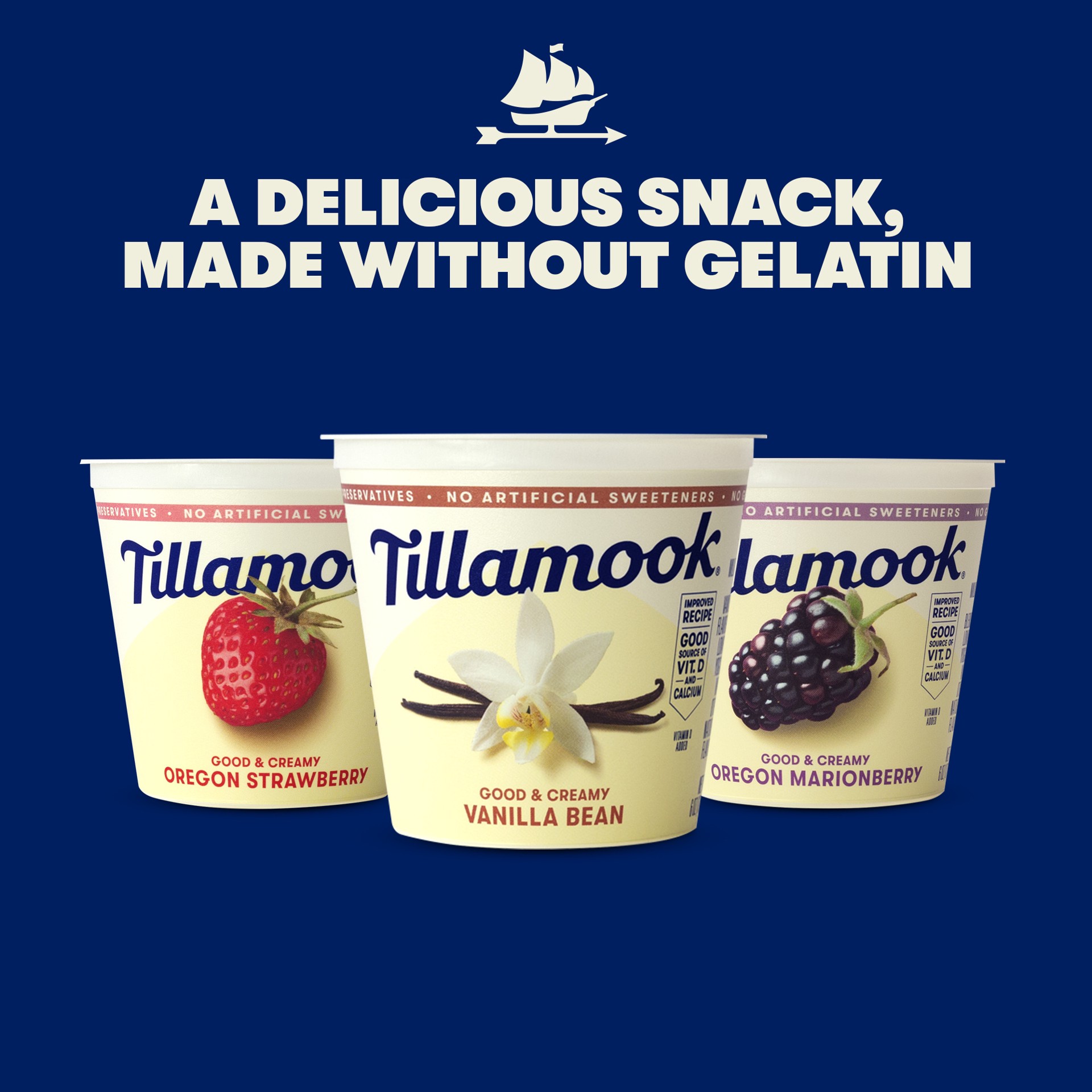 slide 4 of 4, Tillamook Oregon Marionberry Low-Fat Yogurt, 6oz, 170 g