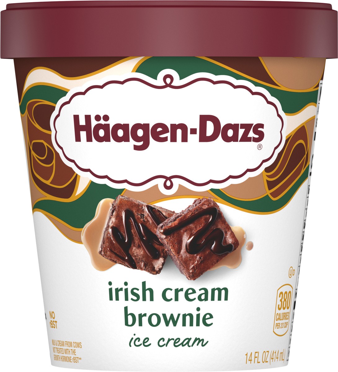 slide 1 of 5, Häagen-Dazs Irish Cream Brownie Ice Cream, 14 fl Oz, 14 fl oz