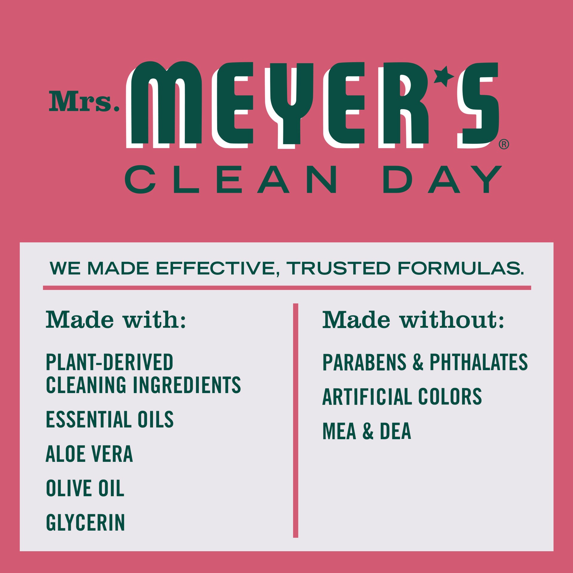 slide 5 of 9, Mrs. Meyer's Clean Day Foaming Hand Soap, Watermelon Scent, 10 Ounce Bottle, 10 fl oz