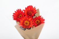 slide 1 of 1, Red Sunflower Bouquet, 4 ct