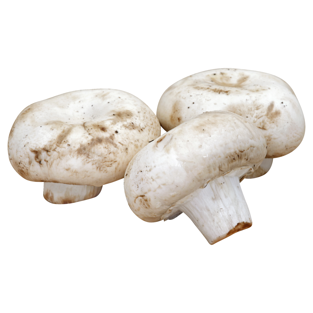 slide 1 of 1, OTHER-REGIONAL White Mushrooms, 1 ct