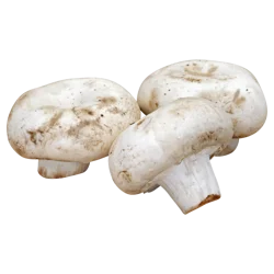 OTHER-REGIONAL White Mushrooms