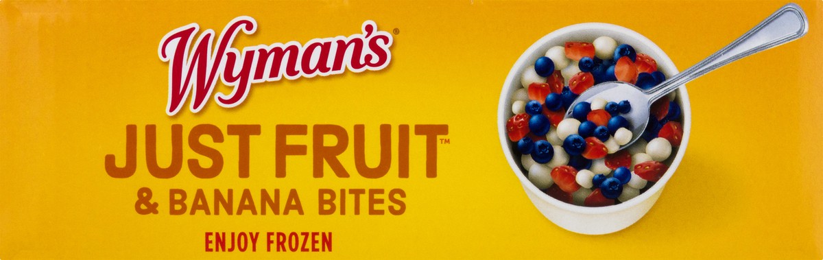 slide 6 of 13, Wyman's Strawberries/Maine Wild Blueberries Just Fruit & Banana Bites 4 ea, 4 ct