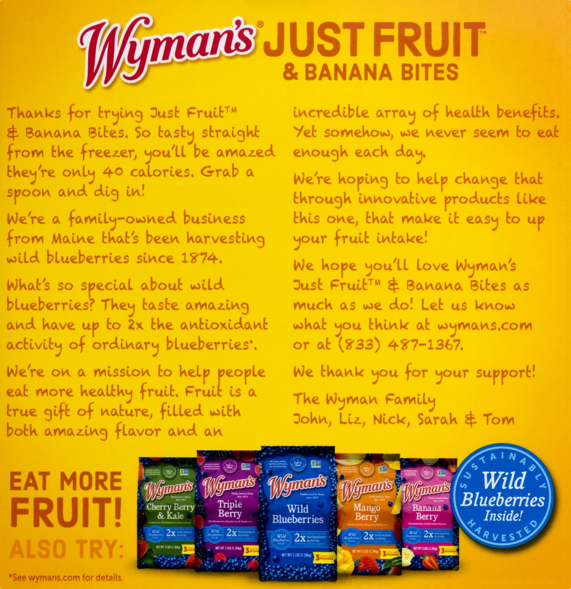 slide 10 of 13, Wyman's Strawberries/Maine Wild Blueberries Just Fruit & Banana Bites 4 ea, 4 ct