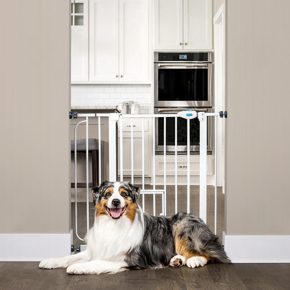 slide 3 of 4, Carlson Pet Gate - White, 30 in