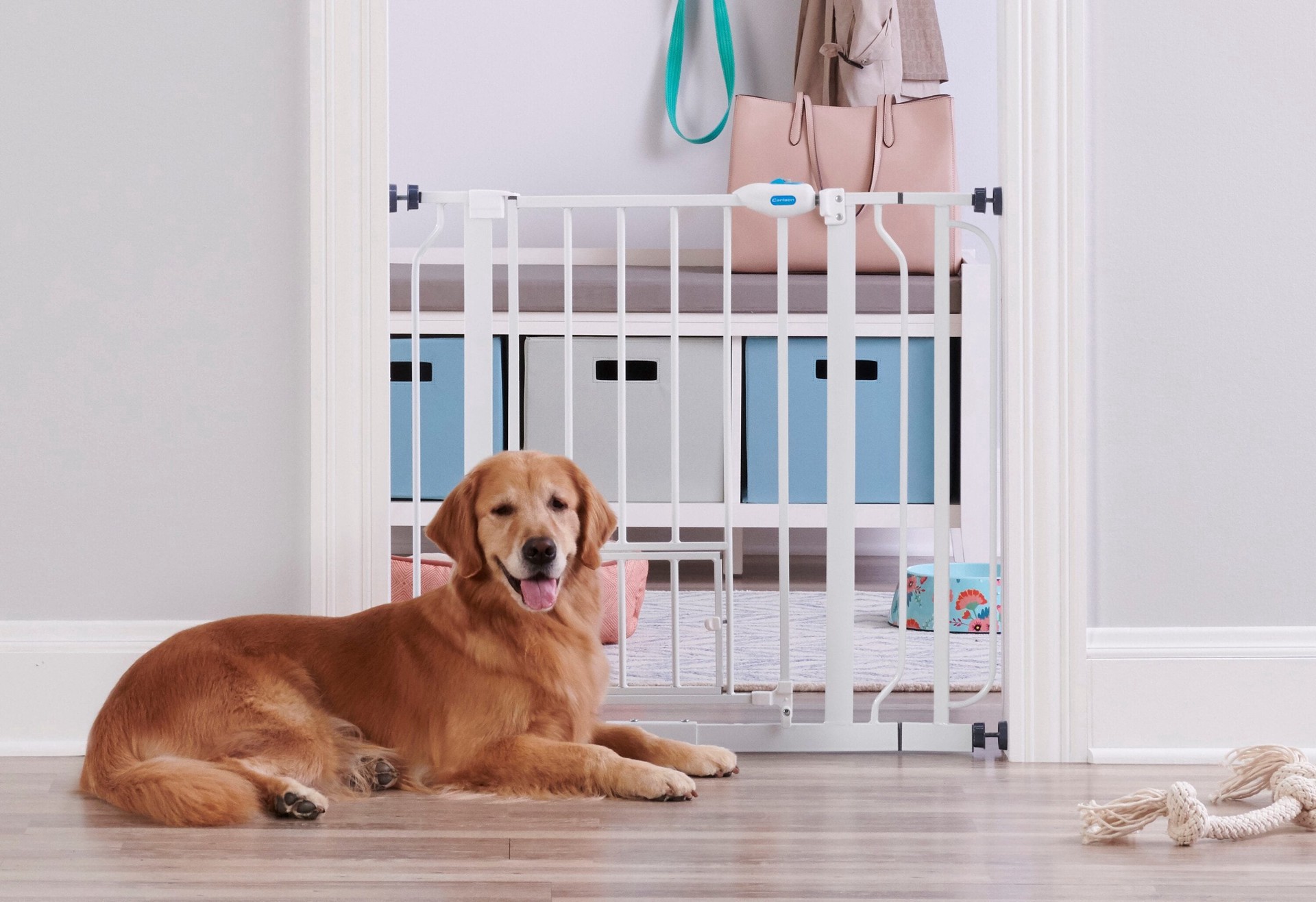 slide 1 of 4, Carlson Pet Gate - White, 30 in