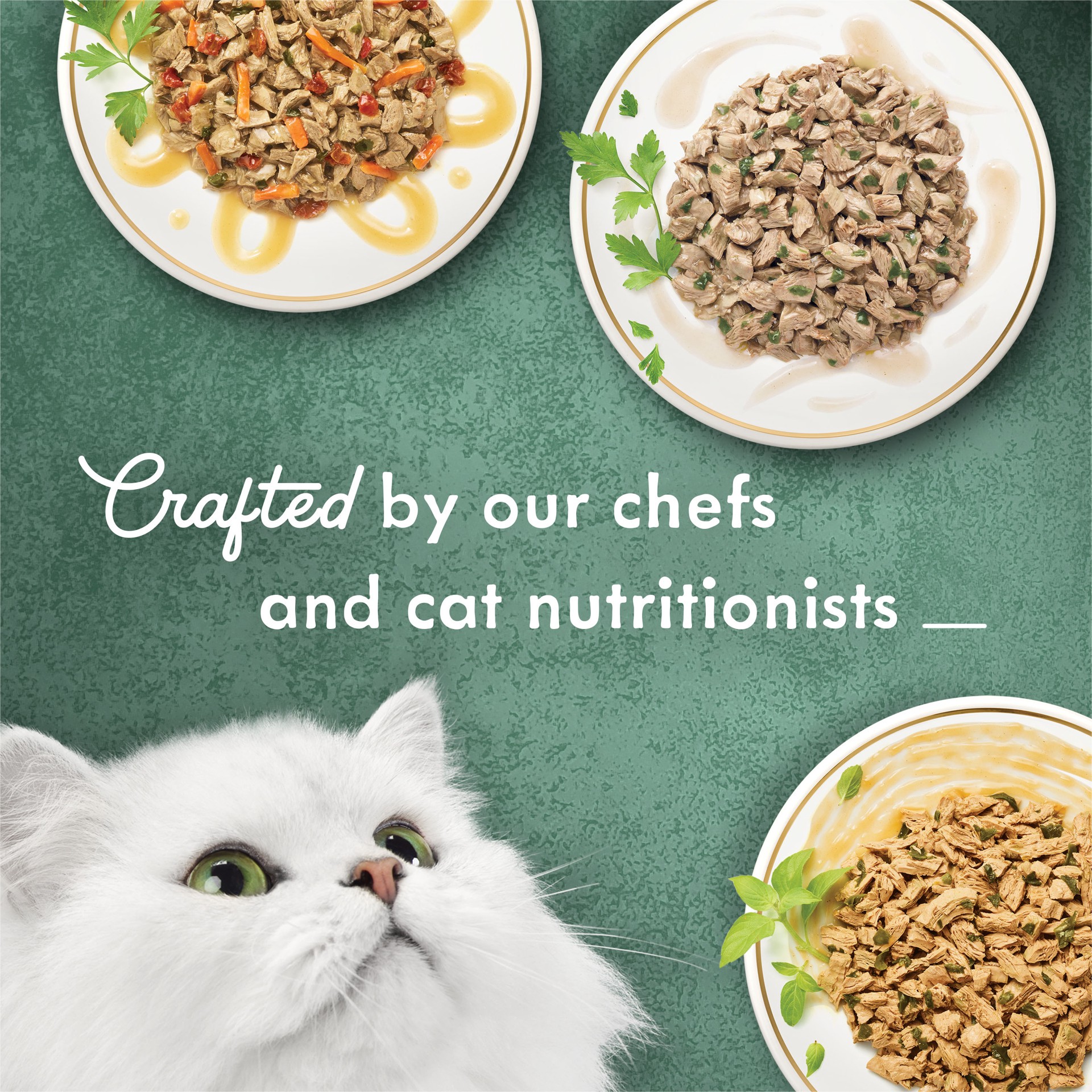 slide 5 of 9, Fancy Feast Purina Fancy Feast Medleys Poultry Collection Wet Cat Food Variety Pack, 90 oz