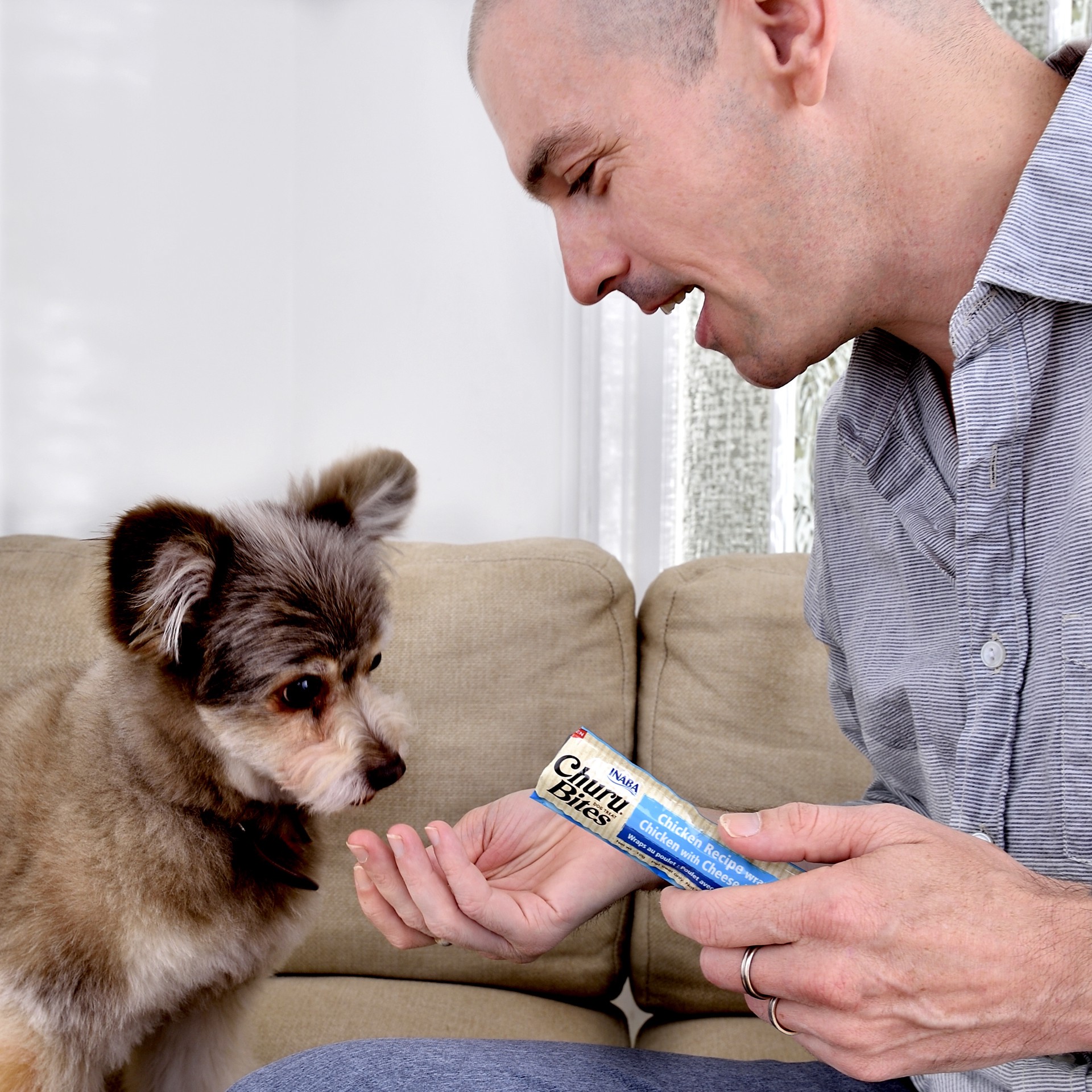 slide 2 of 7, Inaba Churu Bites for Dogs, Soft & Chewy Baked Chicken wrapped Churu Filled Dog Treats with Vitamin E, 0.42 Ounces per Tube, 8 Tubes, Chicken with Salmon Recipe, 8 ct