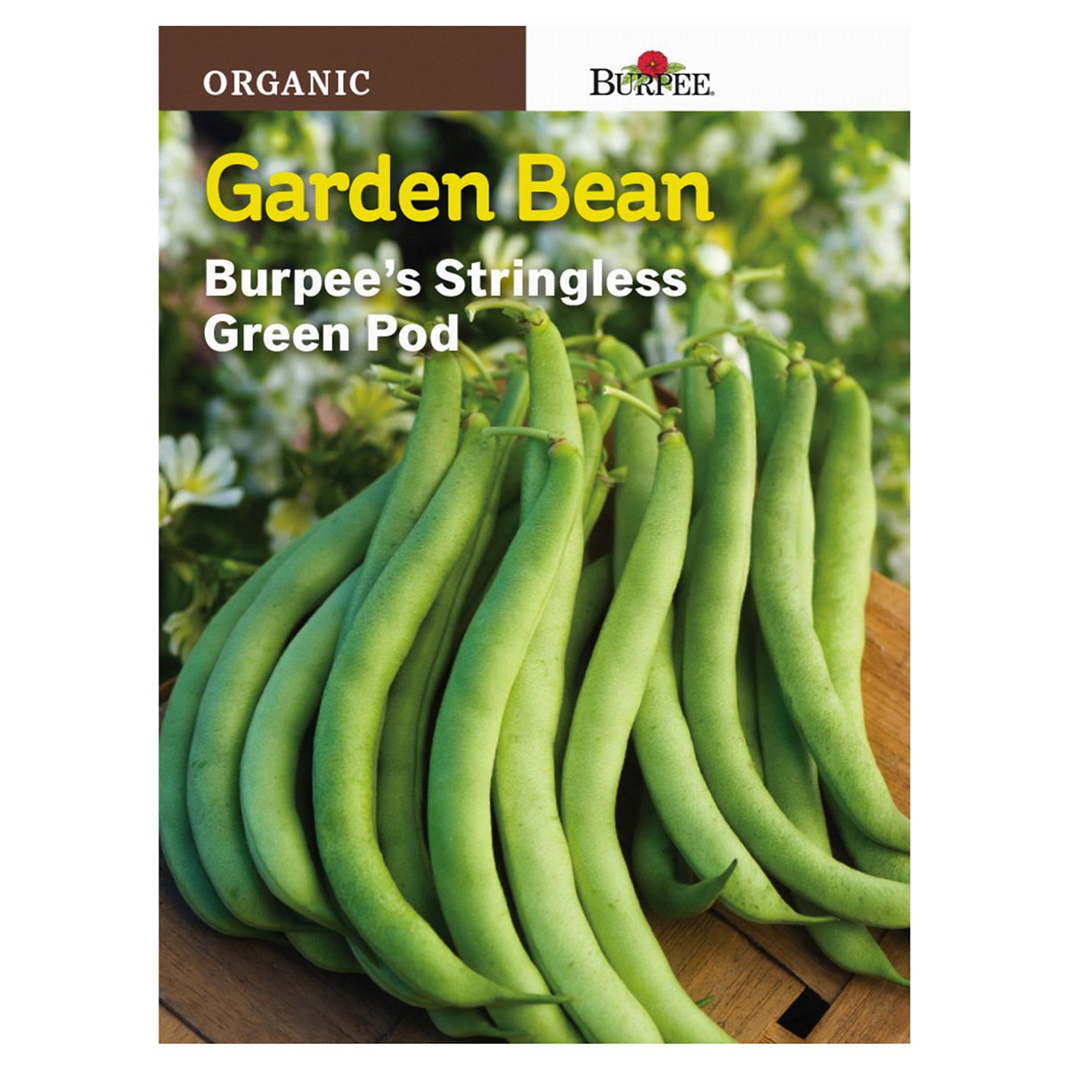 slide 1 of 1, Burpee Bean Burpee's Stringless Green Pod Seeds, 1 ct