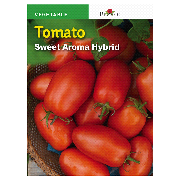 slide 1 of 1, Burpee Spanish Tomato Sweet Aroma Seeds, 1 ct