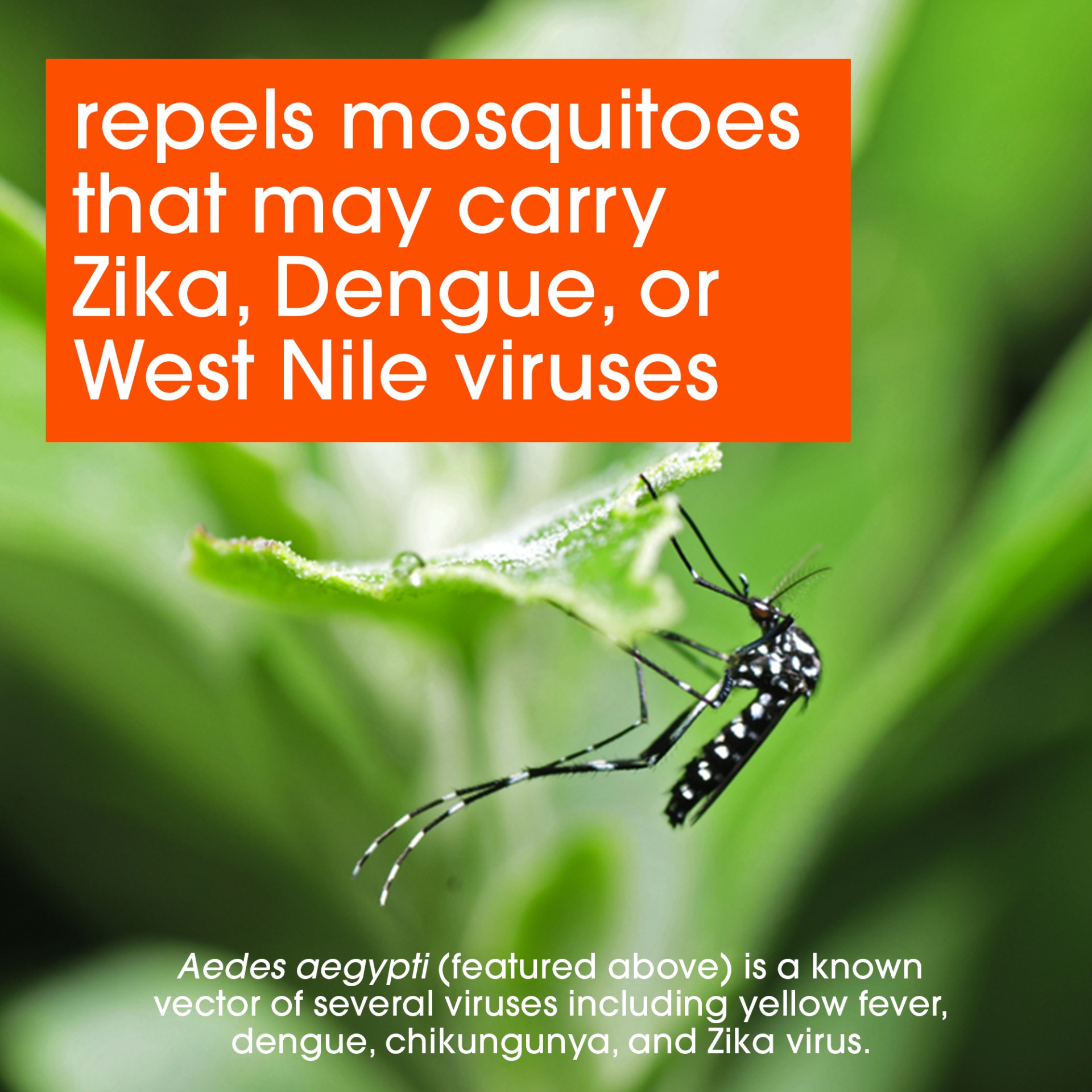 slide 3 of 7, OFF! Deep Woods Dry Insect Repellent, 4 oz