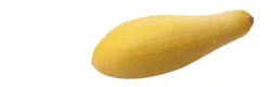 Produce Squash 1 ea