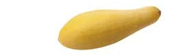 Produce Squash 1 ea