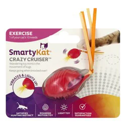 SmartyKat Crazy Cruiser Bug Toy