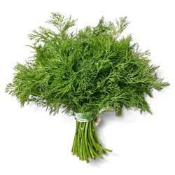 Dill - Bunch