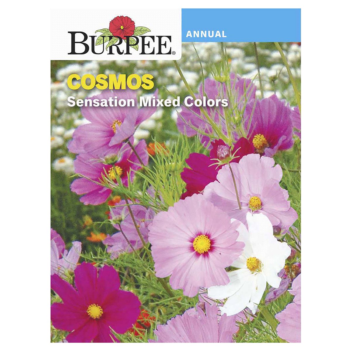 slide 1 of 5, Burpee Cosmos Sensation Mix Seeds - Pink/White, 1 ct