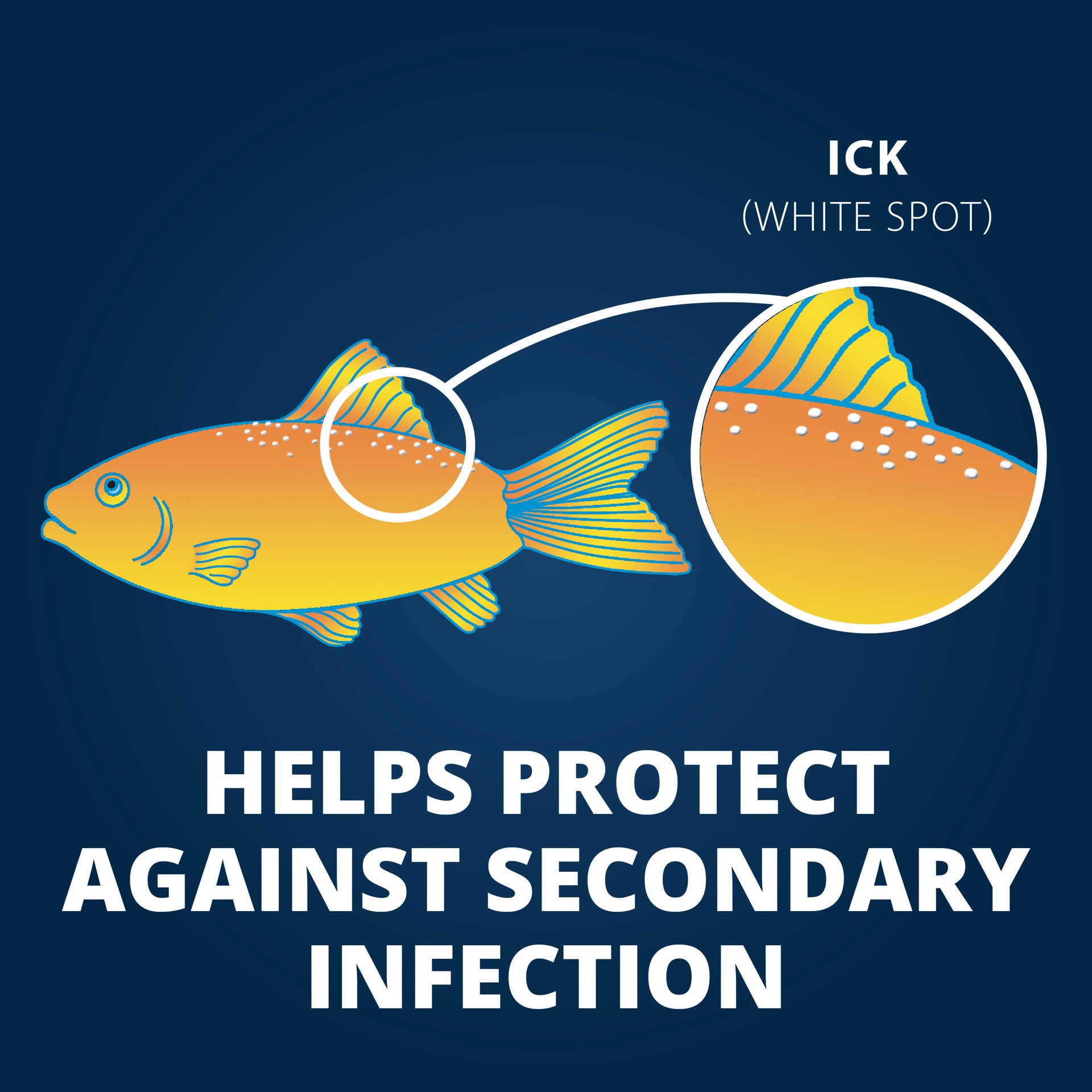 slide 3 of 4, Tetra Ick Guard Tablets, 1.38 oz