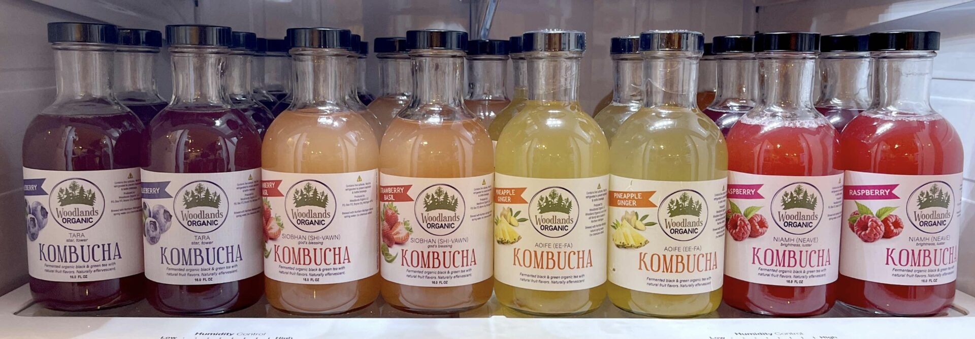 slide 1 of 1, Woodlands Organic Pineapple Ginger (aoife) Kombucha - 16 fl oz, 16 fl oz