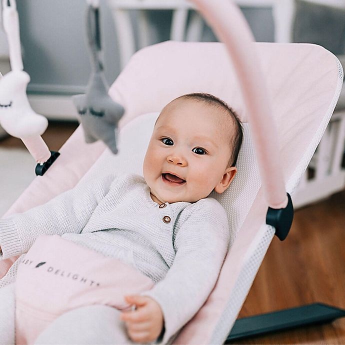 Baby Delight Alpine Deluxe Portable Bouncer Pink 1 ct Shipt
