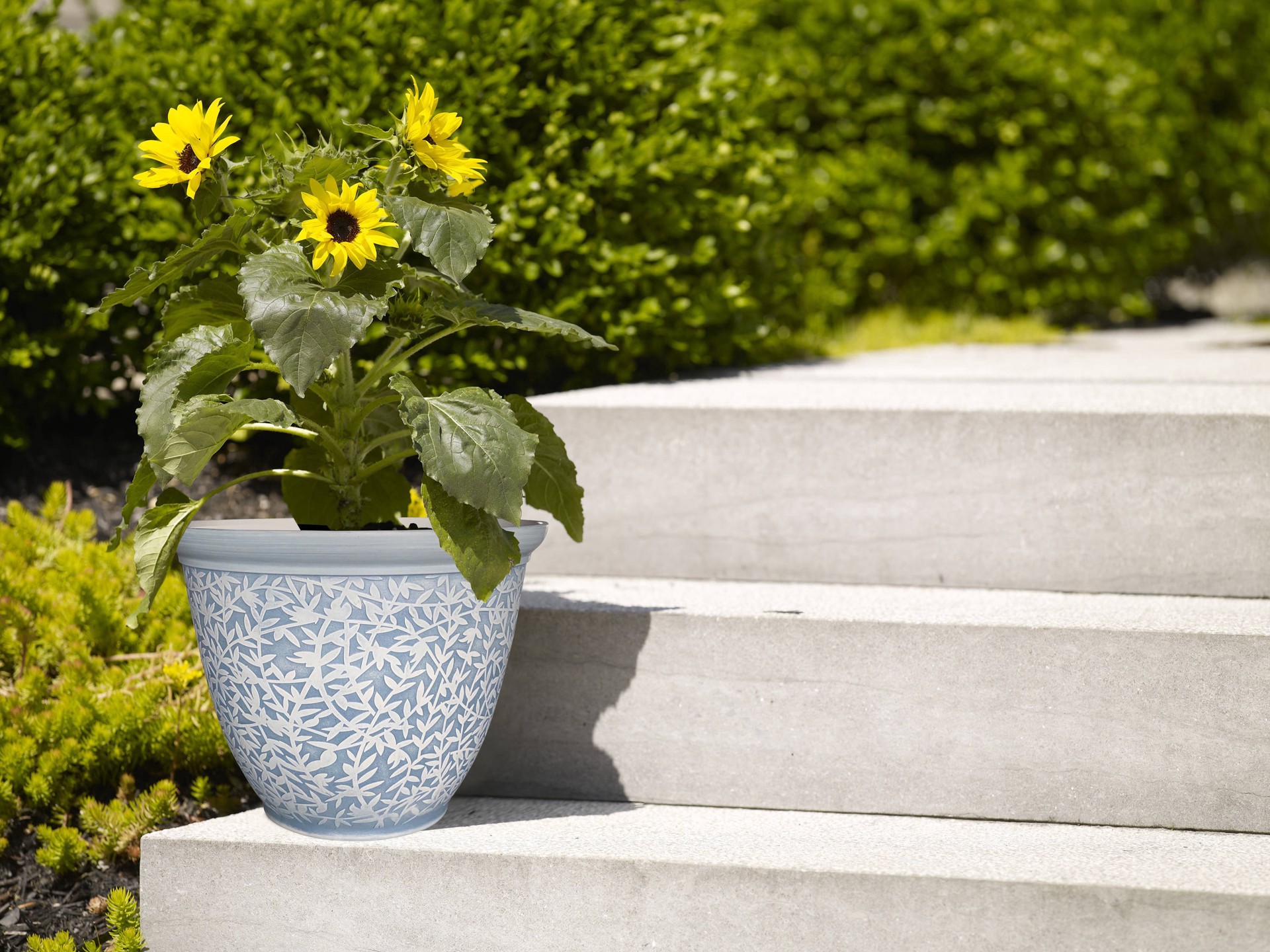 slide 5 of 6, Ready Refill 13.94-in W x 10.83-in H Slate Blue Plastic Traditional Indoor/Outdoor Planter, 1 ct