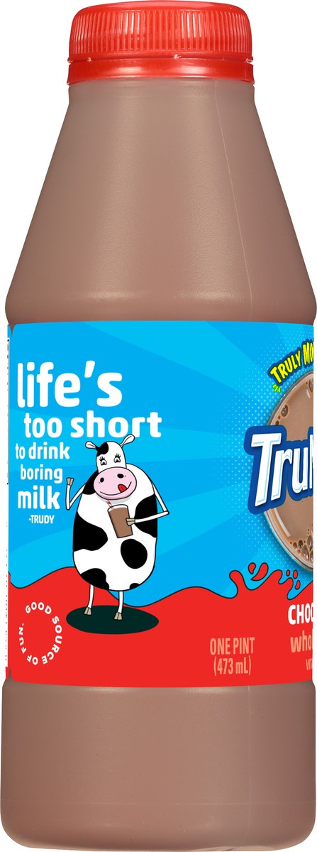 slide 7 of 9, Trumoo Whole Chocolate Milk Pint, 16 fl oz