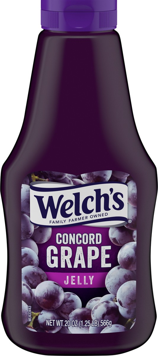 slide 5 of 5, Welch's Concord Grape Jelly, 20 oz Squeeze Bottle, 20 oz