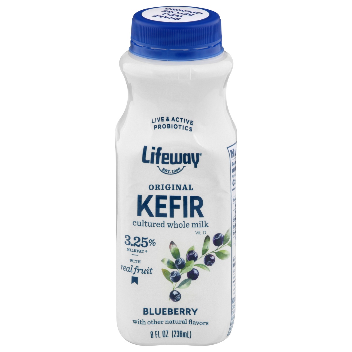 slide 1 of 1, Lifeway Blueberry Whole Milk Kefir, 8 oz