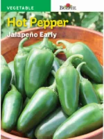 Burpee Hot Pepper Seeds Jalapeno Early