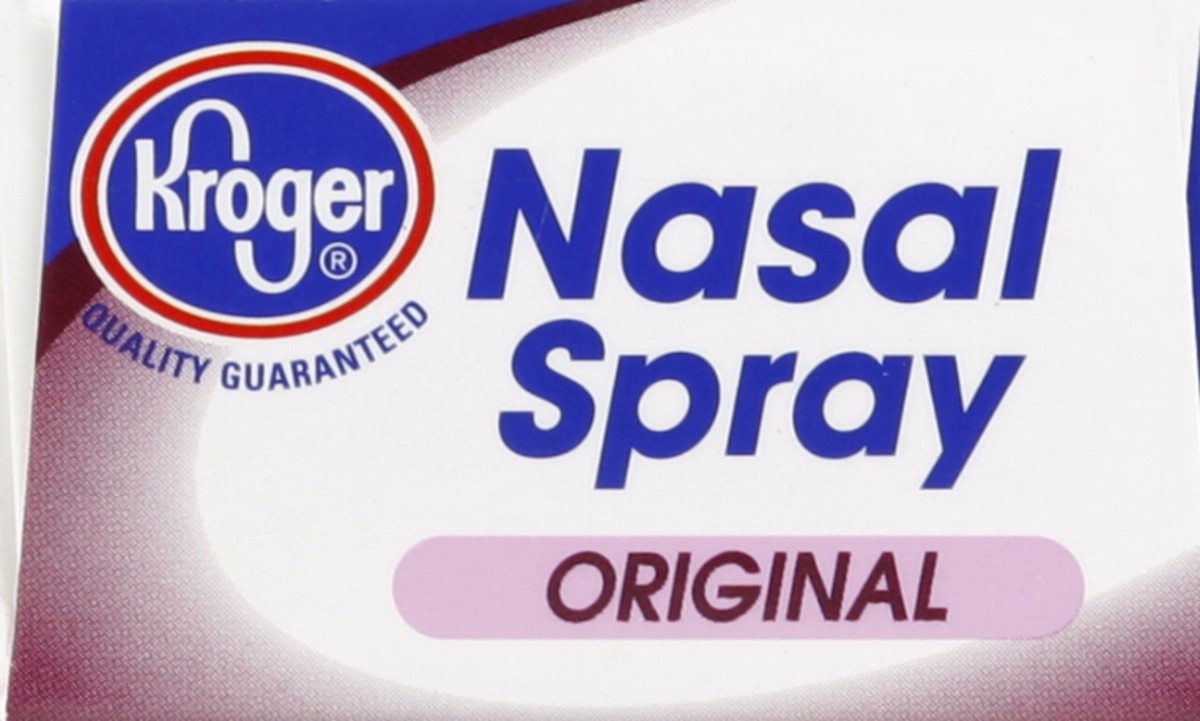 slide 2 of 6, Kroger Maximum Strength Original Nasal Spray, 1 fl oz