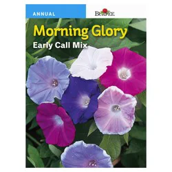 Burpee Morning Glory Early Call Mix