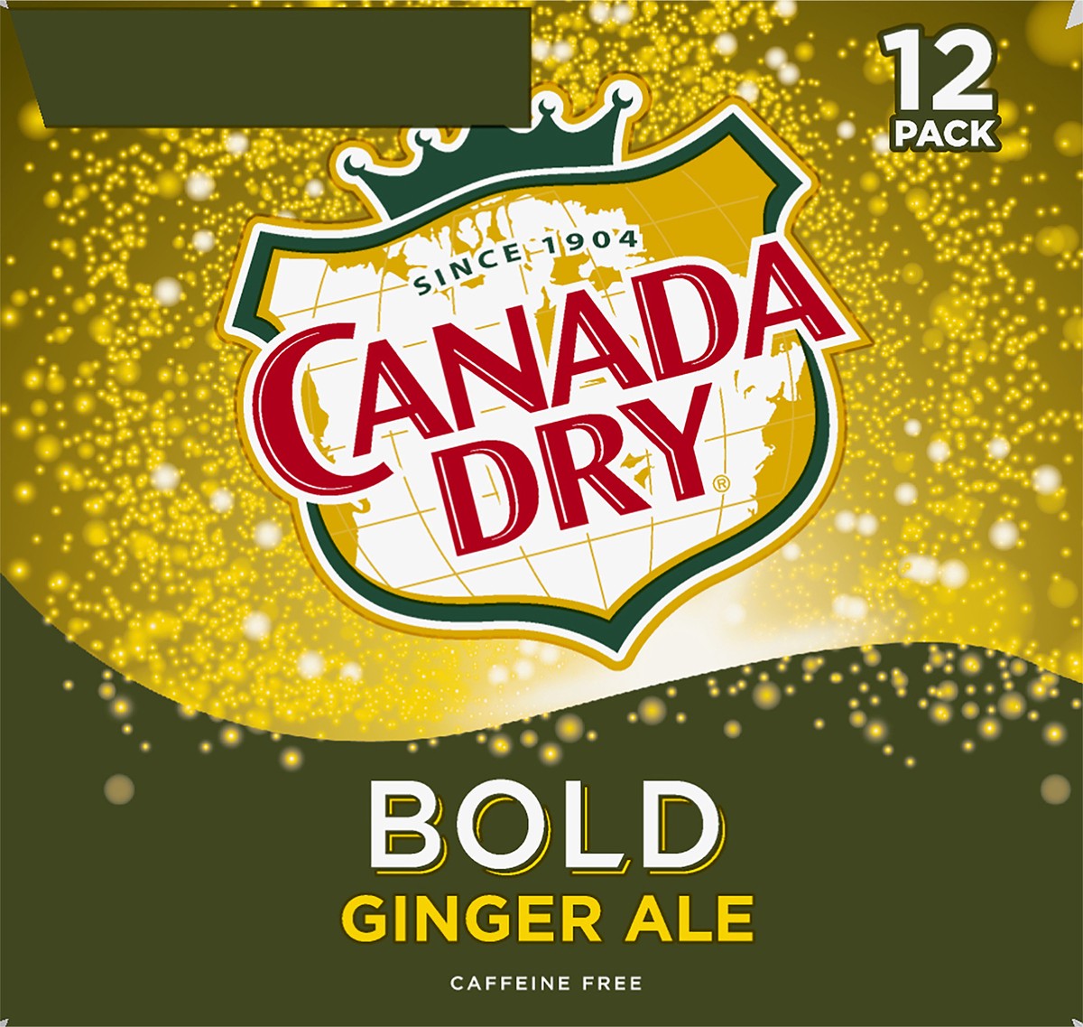 slide 4 of 7, Canada Dry Bold 12 Pack Ginger Ale Soda 12-12 fl oz Cans, 12 ct