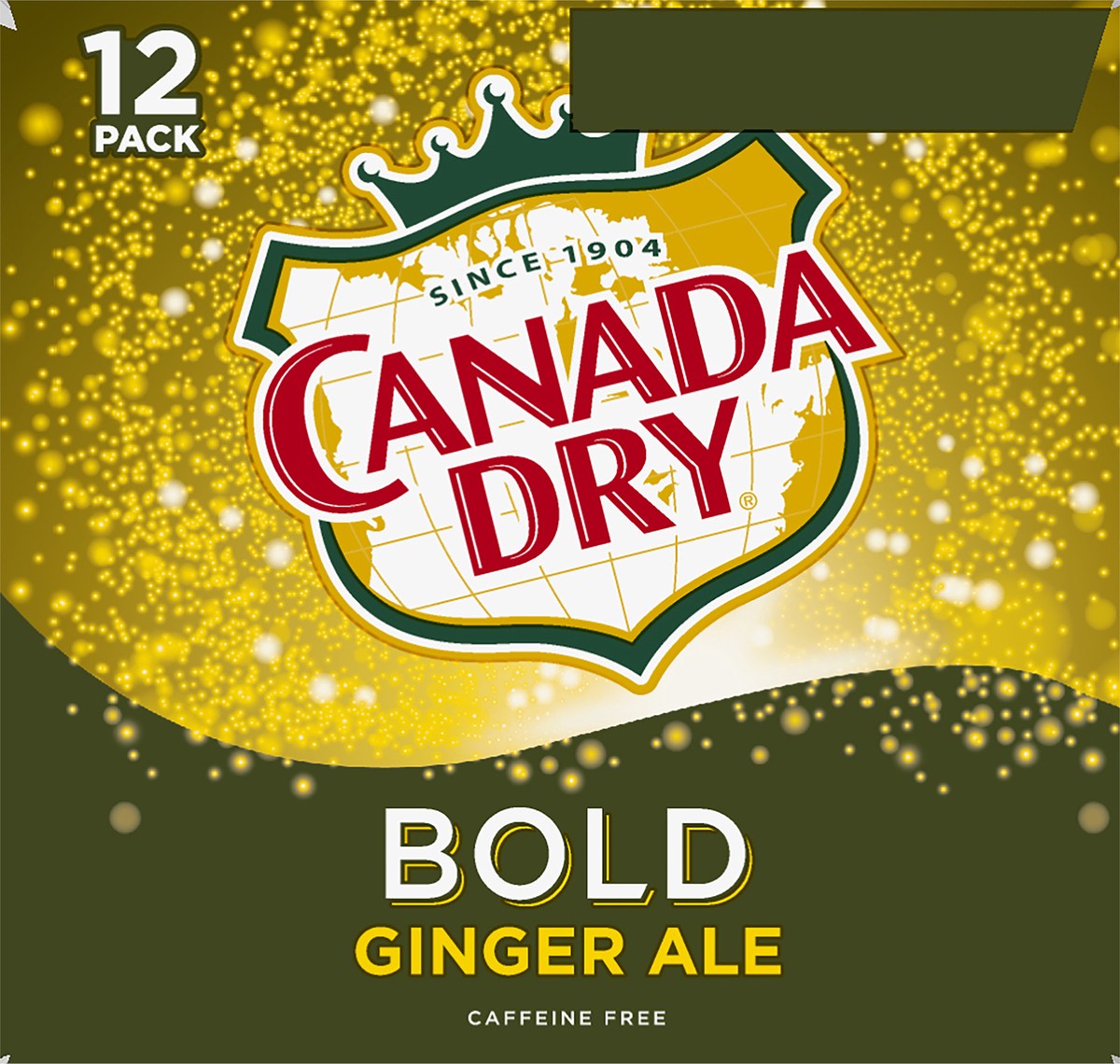 slide 6 of 7, Canada Dry Bold 12 Pack Ginger Ale Soda 12-12 fl oz Cans, 12 ct