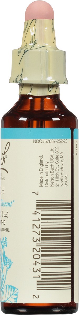 slide 7 of 11, Bach Original Flower Remedies Beech 0.7 fl oz, 0.7 fl oz