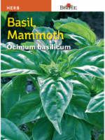 slide 1 of 1, Burpee Mammoth Basil - Green, 1 ct