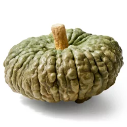 Heirloom Color Pumpkin