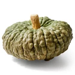 Heirloom Color Pumpkin