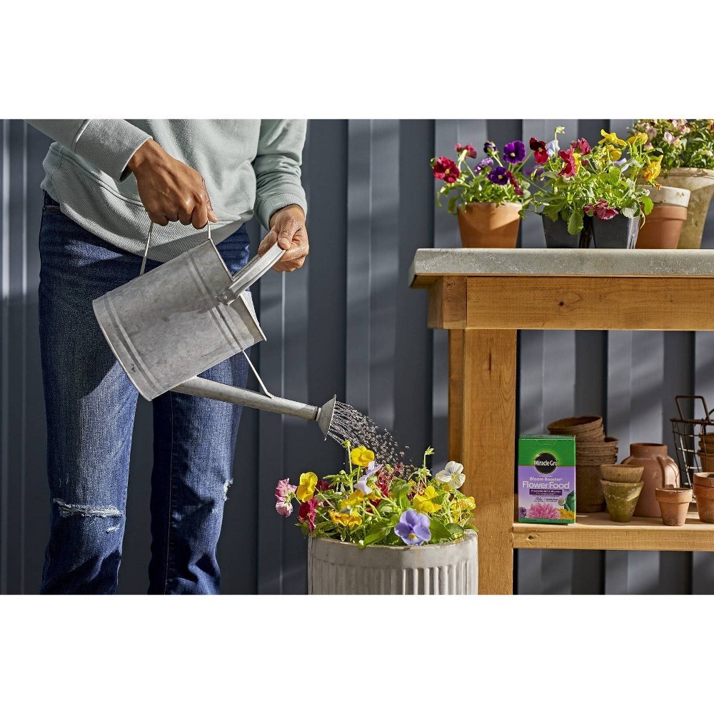 slide 8 of 11, Miracle-Gro Flower Food 1.5 lb, 1.5 lb