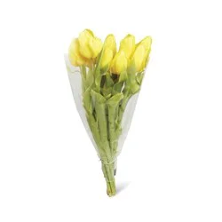 Tulip 10-Stem Tulips