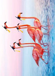 Avanti Flamingo Grads