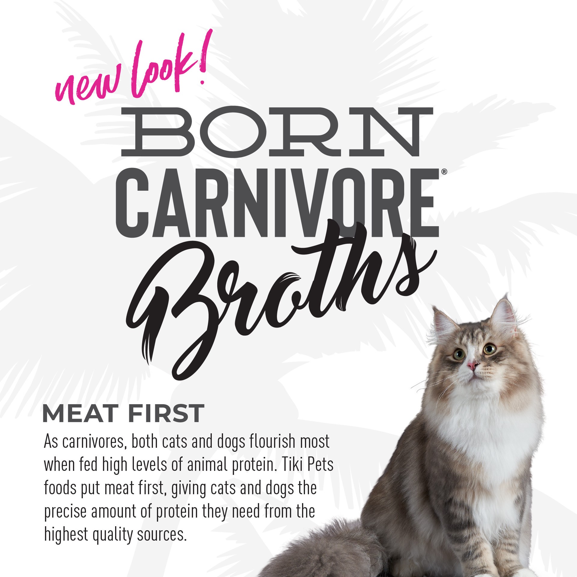 slide 4 of 7, Tiki Cat Born Carnivore Broths Wet Cat Food Toppers, Variety Pack, 1.3 oz. Pouch (12 Count), 15.6 oz