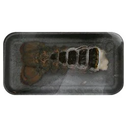 Giant Eagle Lobster, Tail, Wild