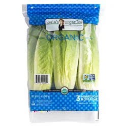 Organic Girl Salad Romaine Hearts Bag